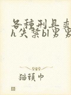 各种刑具爽到高h失禁bl男男