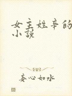 女主姓辛的现代小说