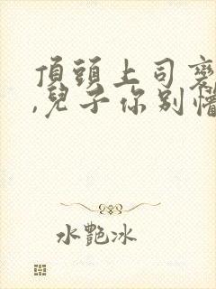 顶头上司变后妈,儿子你别懵在线