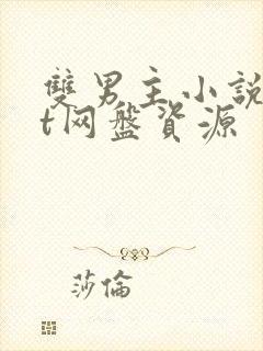 双男主小说txt网盘资源