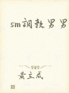 sm调教男男文