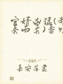 官婿凶猛(赵阳秦雨柔)番外+大结局小说