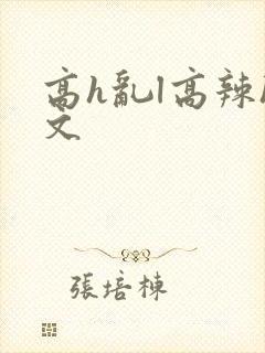 高h乱l高辣h文