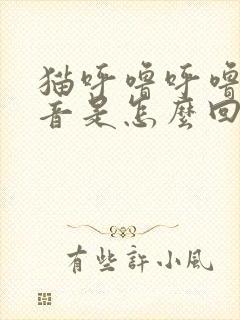 猫呼噜呼噜的声音是怎么回事