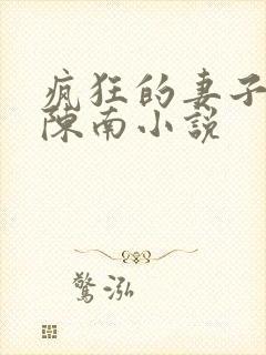 疯狂的妻子林瑶陈南小说