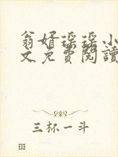 翁婿瑶瑶小说全文免费阅读最新章节封面