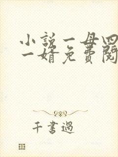 小说一母四女共一婿免费阅读封面