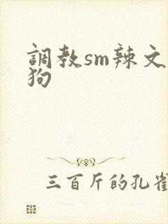 调教sm辣文母狗