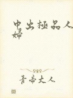 中出极品人妻少妇