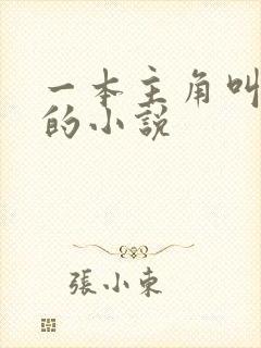 一本主角叫林萧的小说封面