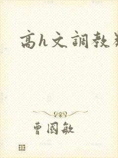 高h文调教类