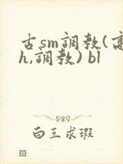 古sm调教(高h,调教) bl