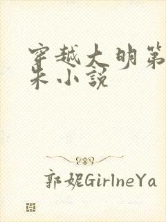 穿越大明第三子朱小说封面