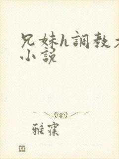 兄妹h调教木马小说