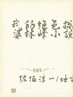 我的绝色总裁老婆林峰小说