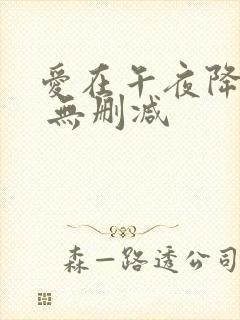 爱在午夜降临前 无删减