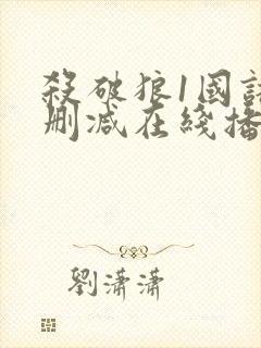 杀破狼1国语无删减在线播放