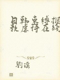 日韩束缚捆绑调教虐待在线观看