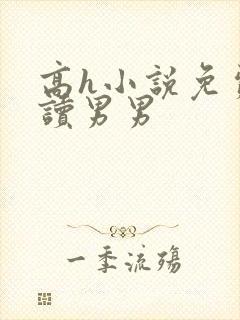 高h小说免费阅读男男