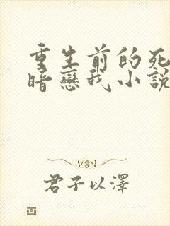 重生前的死对头暗恋我小说