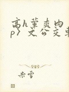 高h荤爽肉〈np〉文公交车