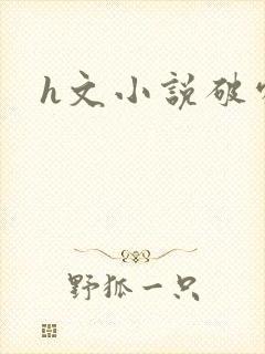 h文小说破处