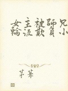 女主被师兄师弟轮流欺负小说封面