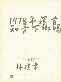 1978年还有知青下乡吗