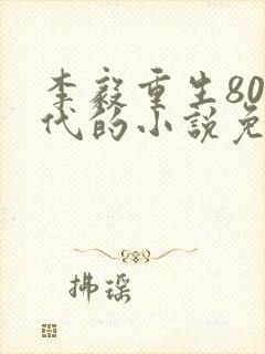 李毅重生80年代的小说免费阅读