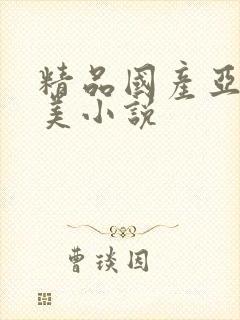 精品国产亚洲欧美小说