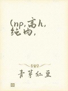 (np,高h,纯肉,