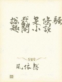 总裁是条骚狗笔趣阁小说