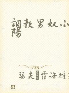 调教男奴小说虐阳