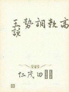 玉势调教高h小说