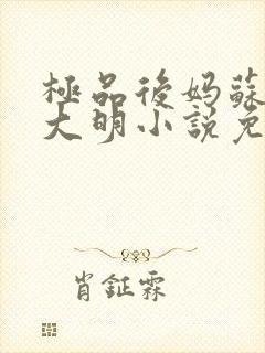 极品后妈苏晴杨大明小说免费阅读全