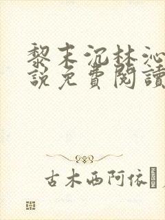 黎末沉林沁染小说免费阅读最新章节