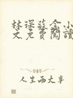 林琛苏念小说全文免费阅读