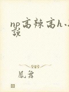np高辣高h小说封面