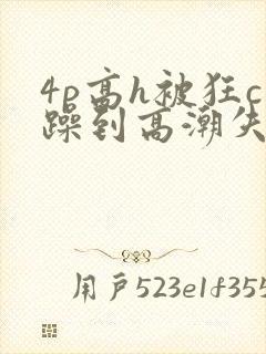 4p高h被狂c躁到高潮失禁小说
