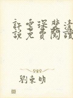 许云琛裴清欢小说免费阅读