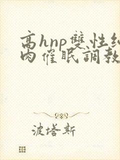 高hnp双性纯肉催眠调教