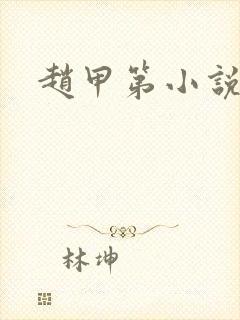 赵甲第小说原著