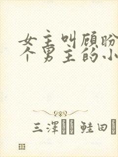 女主叫顾盼有六个男主的小说