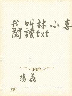 我叫林小喜免费阅读txt