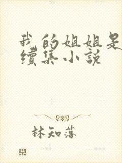 我的姐姐是校花续集小说