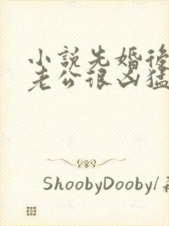 小说先婚后爱:老公很凶猛txt下载