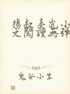 杨叔秦岚小说全文阅读无弹窗封面