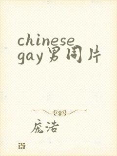 chinesegay男同片封面