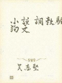 小说 调教骚母狗文