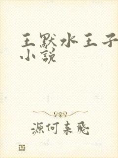 王默水王子同人小说